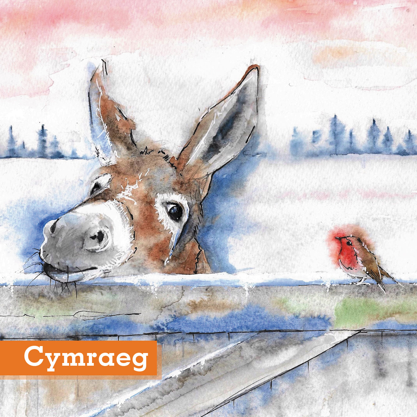 Donkey and Robin Friends Christmas Cards Pack of 10 Cymraeg Welsh Greeting