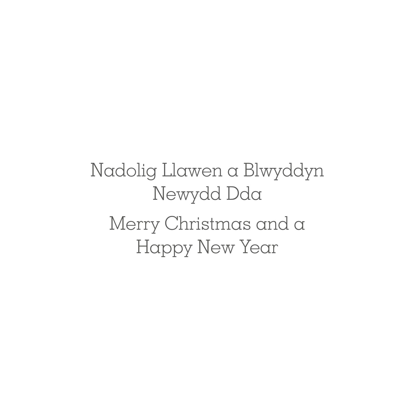 Frosted Robin Christmas Cards Pack of 10 Bilingual Greeting