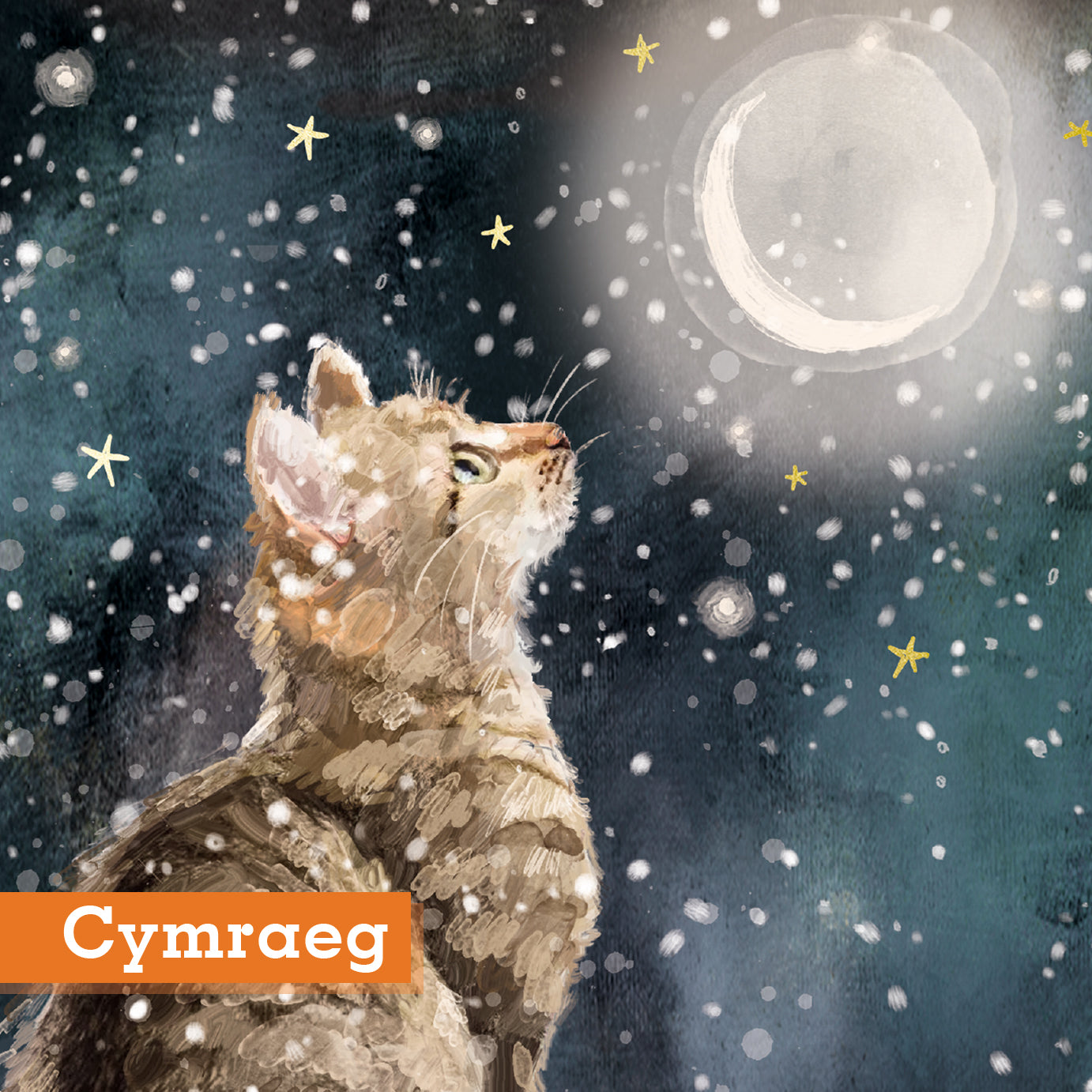 Magical Moonlight Christmas Cards Welsh Cymraeg Greeting Pack of 10