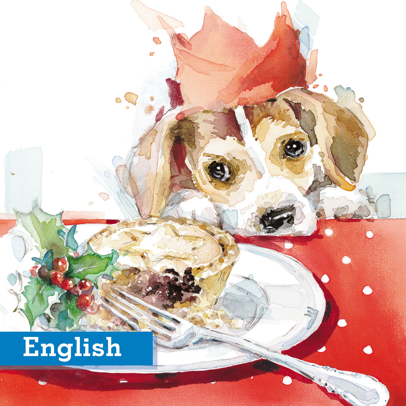 Mince Pie Eyes Christmas Cards English Greeting Pack of 10