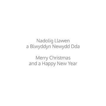 Mince Pie Eyes Christmas Cards Bilingual Greeting Pack of 10