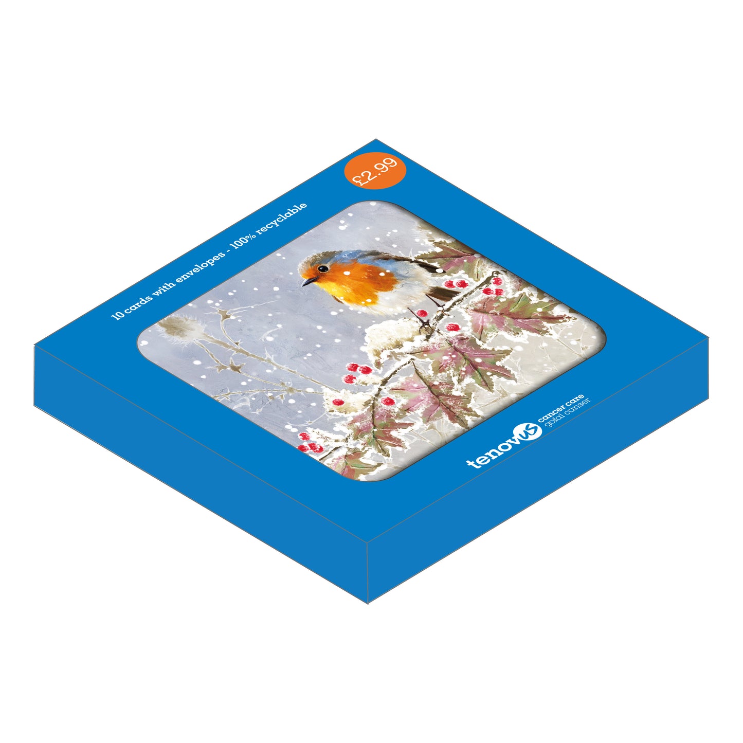 Frosted Robin Christmas Cards Pack of 10 Bilingual Greeting