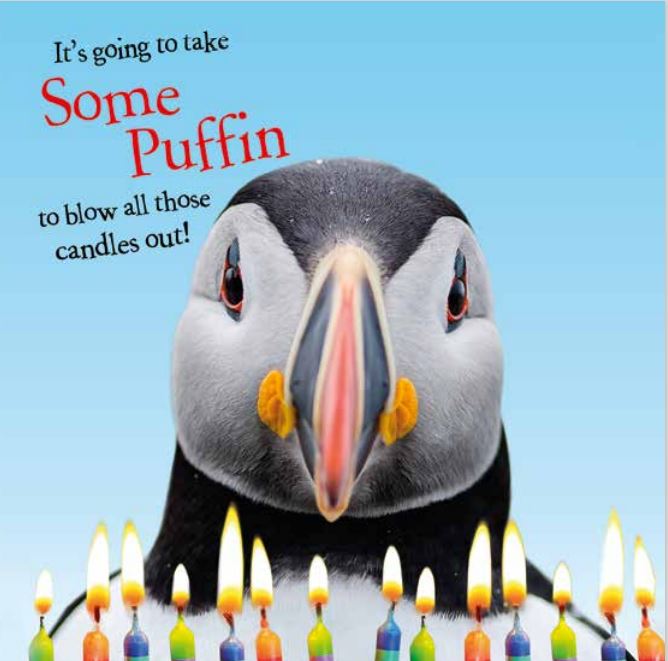 10 Assorted Birthday Cards - Multipack