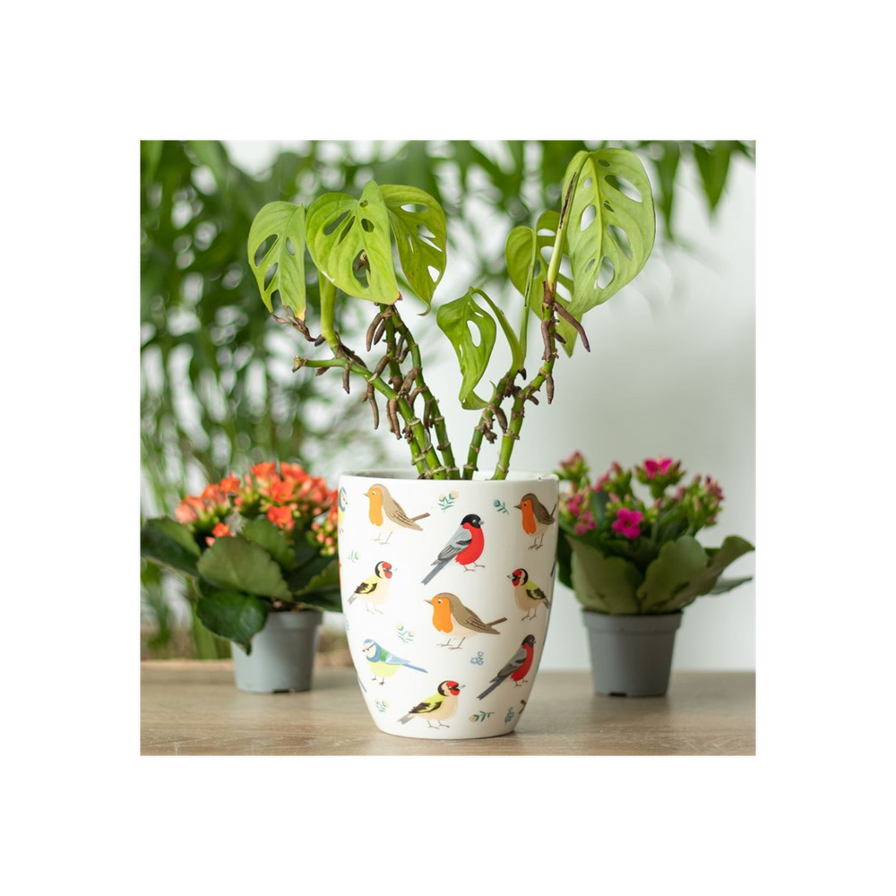 British Garden Birds Ceramic Plant Pot