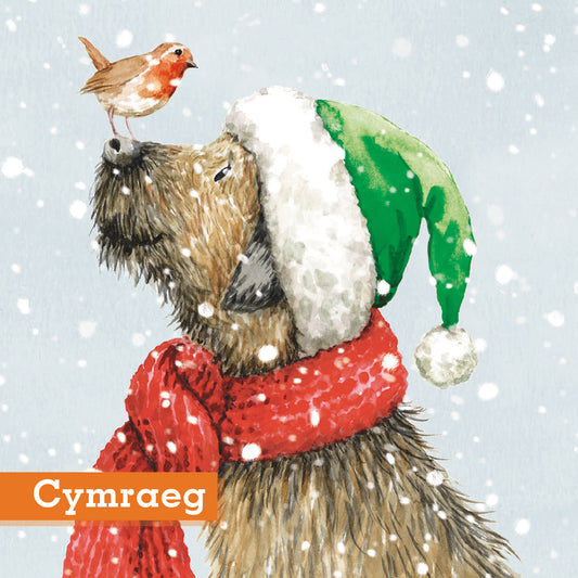 Best Buddies Christmas Cards Pack of 10 Cymraeg Welsh Greeting