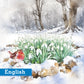 Snowdrops in the wood Christmas cards Pack of 10 English Greeting