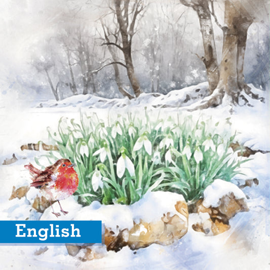 Snowdrops in the wood Christmas cards Pack of 10 English Greeting