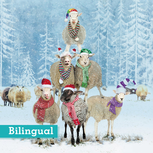 Christmas Sheep Stack Christmas cards Pack of 10 Bilingual Greeting