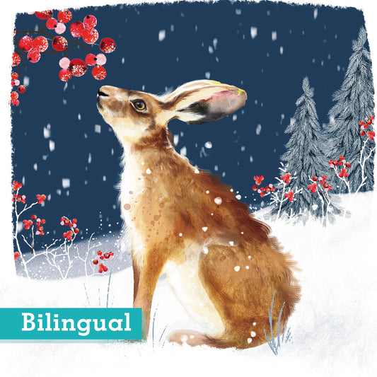 Shimmer Berry Hare Christmas Cards Pack of 10 Bilingual greeting