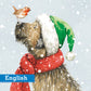 Best Buddies Christmas Cards Pack of 10 English Greeting