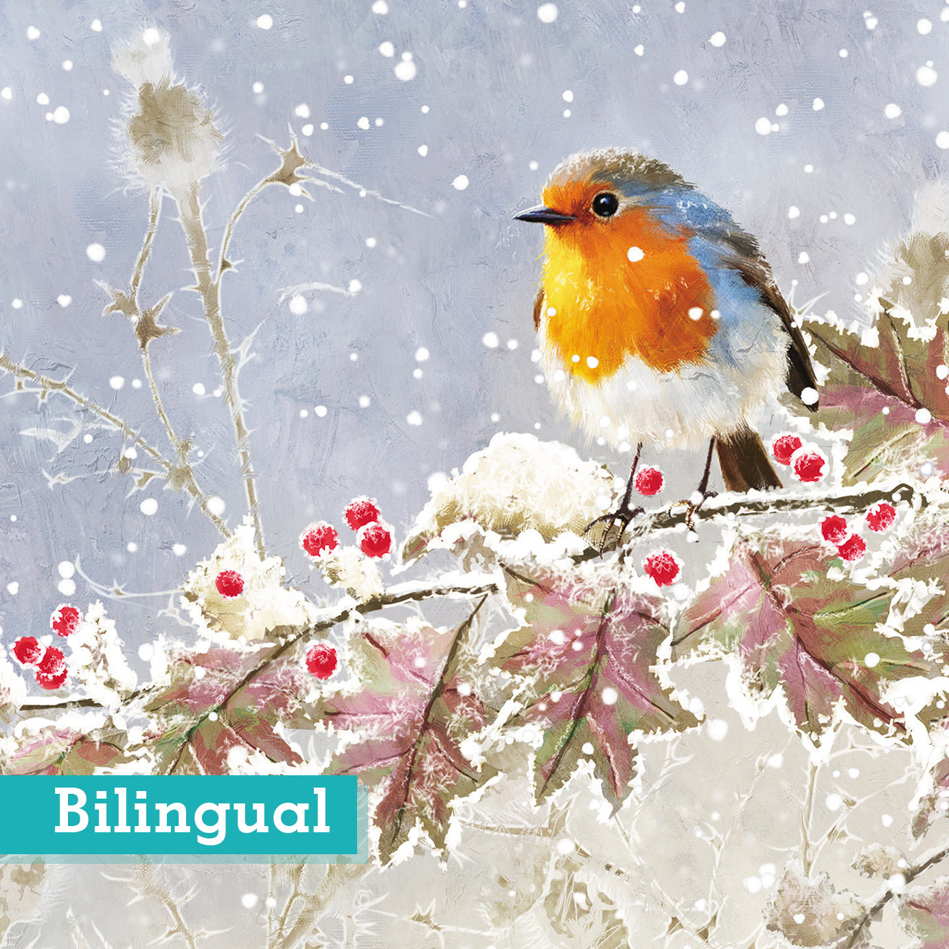 Frosted Robin Christmas Cards Pack of 10 Bilingual Greeting