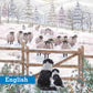 Winter Watch and Learn Christmas cards Pack of 10 English Greeting