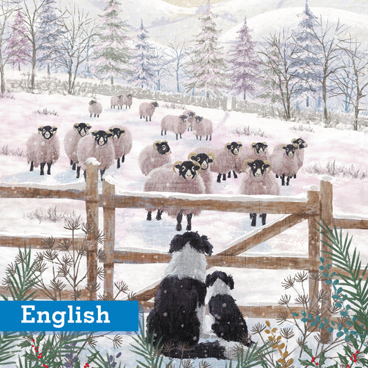 Winter Watch and Learn Christmas cards Pack of 10 English Greeting
