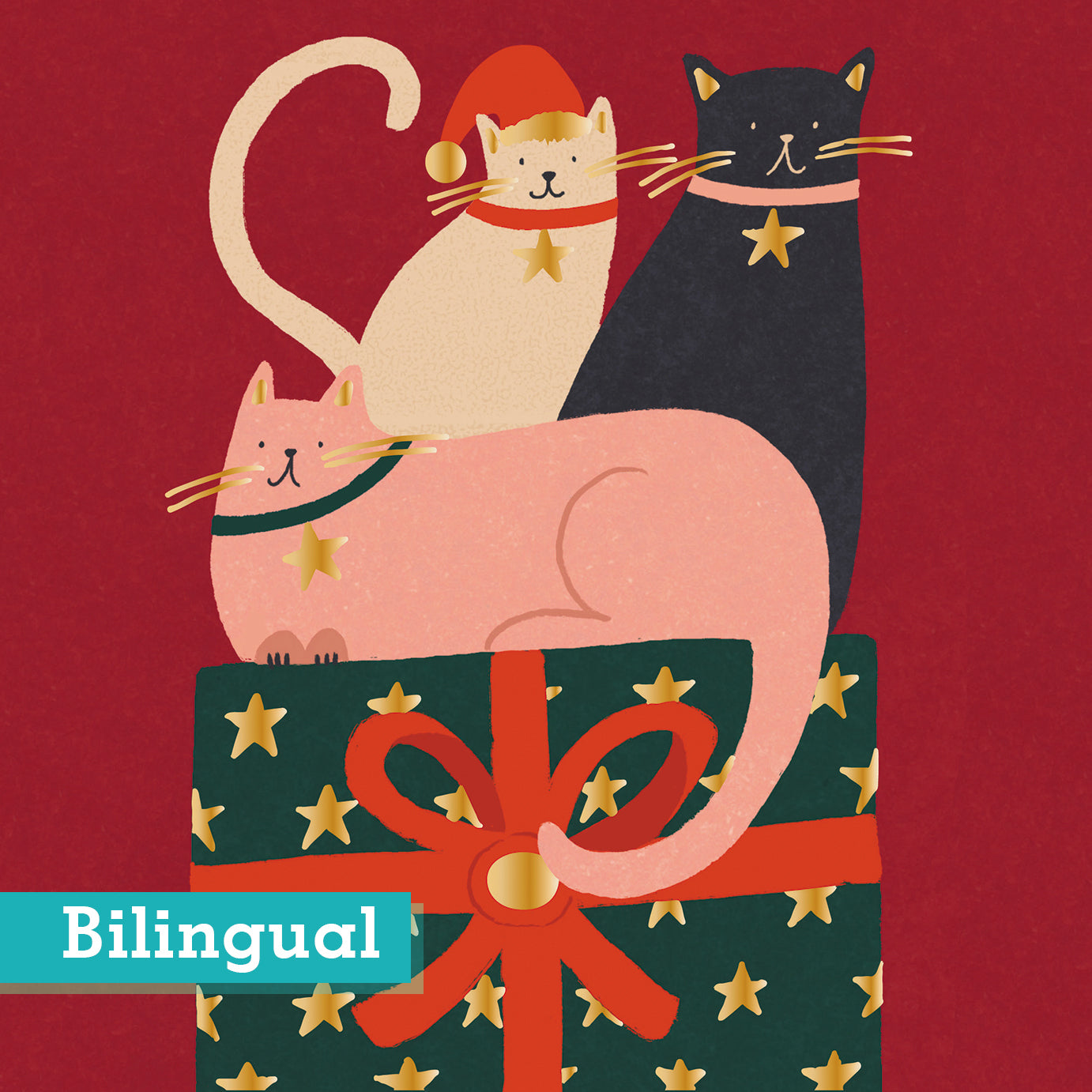 Feline Like Christmas Pack of 10 Christmas Cards Bilingual Greeting
