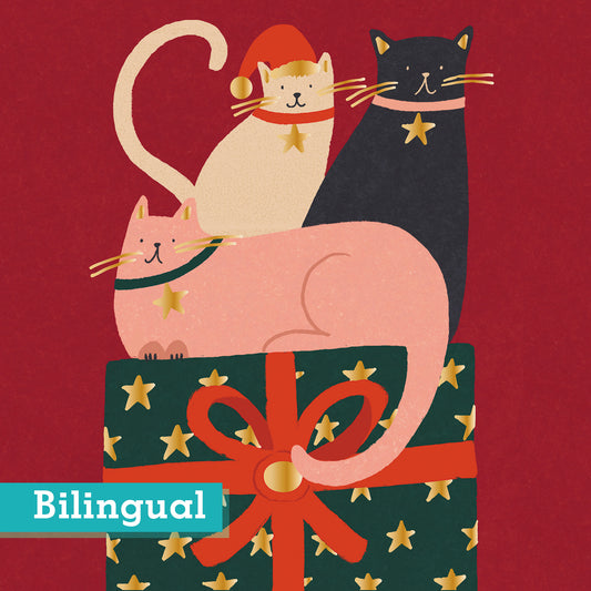 Feline Like Christmas Pack of 10 Christmas Cards Bilingual Greeting