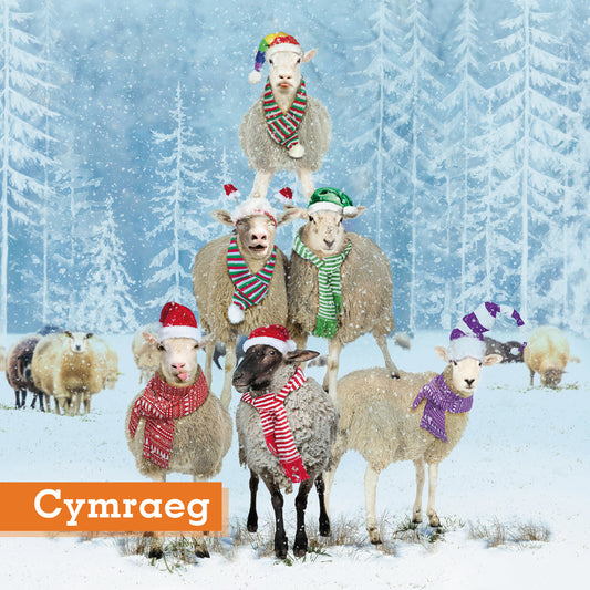 Christmas Sheep Stack Christmas cards Pack of 10 Cymraeg Welsh Greeting