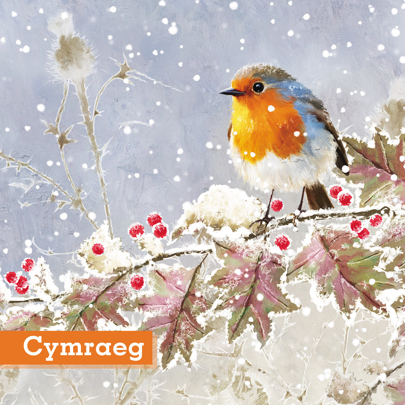 Frosted Robin Christmas Cards Pack of 10 Cymraeg Welsh  Greeting