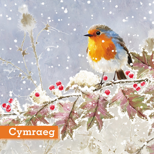 Frosted Robin Christmas Cards Pack of 10 Cymraeg Welsh  Greeting