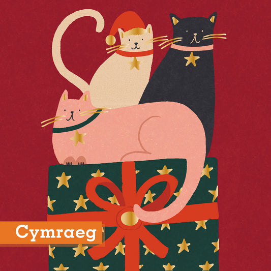 Feline Like Christmas Pack of 10 Christmas Cards Cymraeg Welsh Greeting