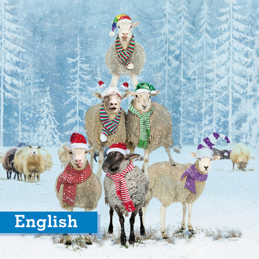 Christmas Sheep Stack Christmas cards Pack of 10 English greeting