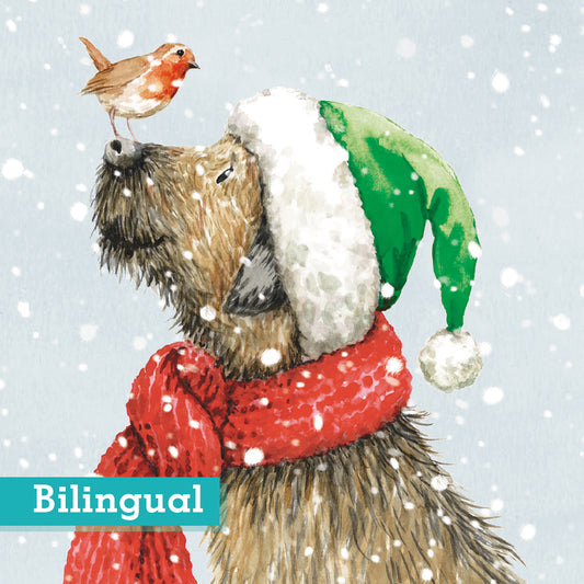 Best Buddies Christmas Cards Pack of 10 Bilingual Greeting