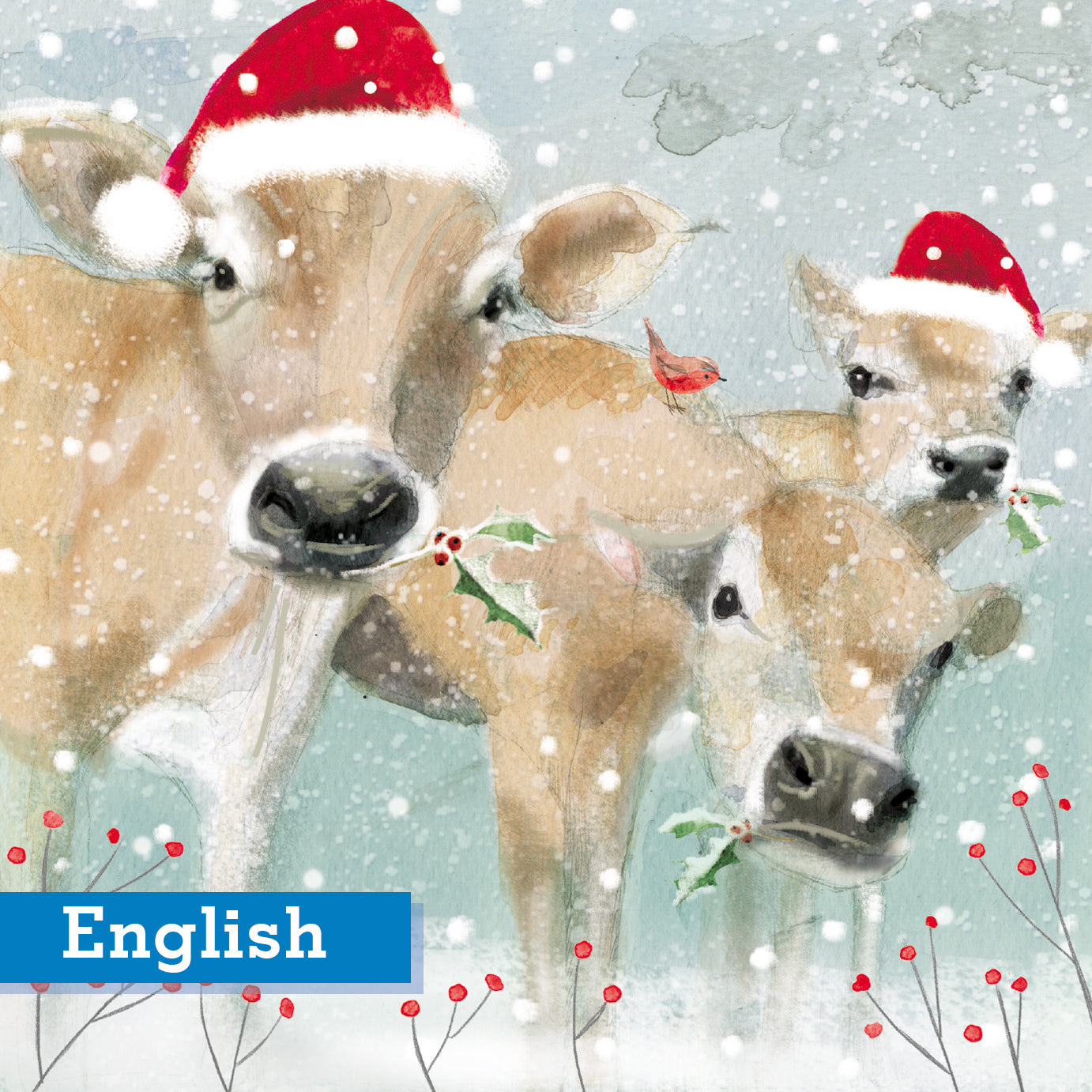 Christmas Cows Christmas Cards English Greeting Pack of 10