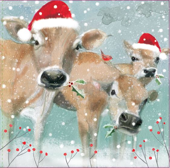 Christmas Cows Christmas Cards English Greeting Pack of 10