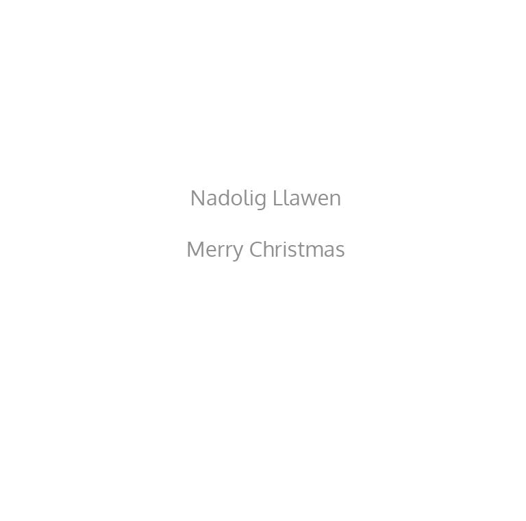 A Highland Gift Christmas Cards Pack of 10 Bilingual Greeting