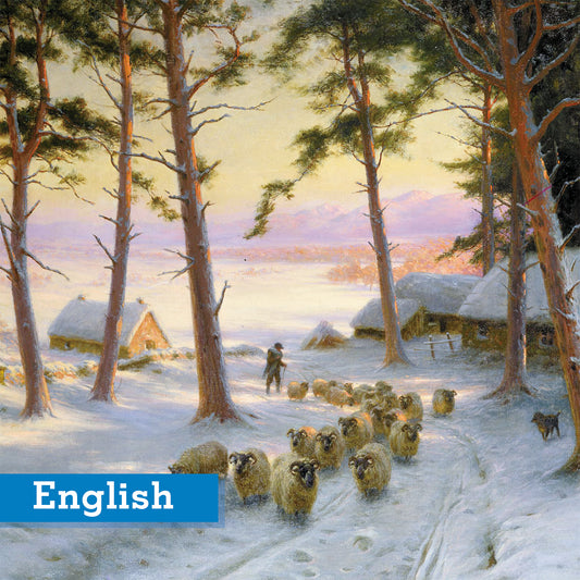 Sheep in Snowy Field Christmas Cards English Pack of 10