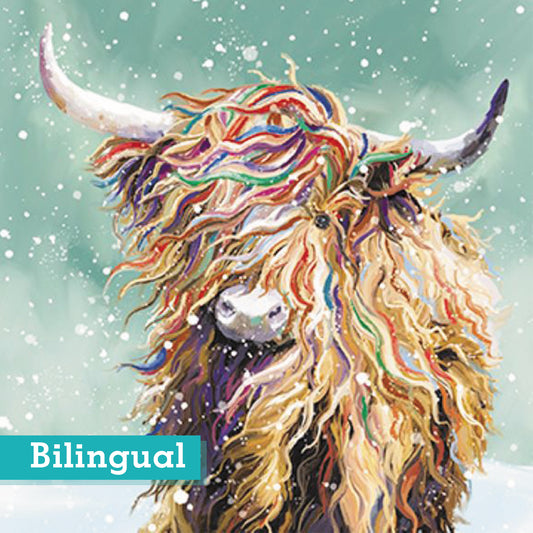 Highland Cow Christmas Cards Bilingual Pack of 10