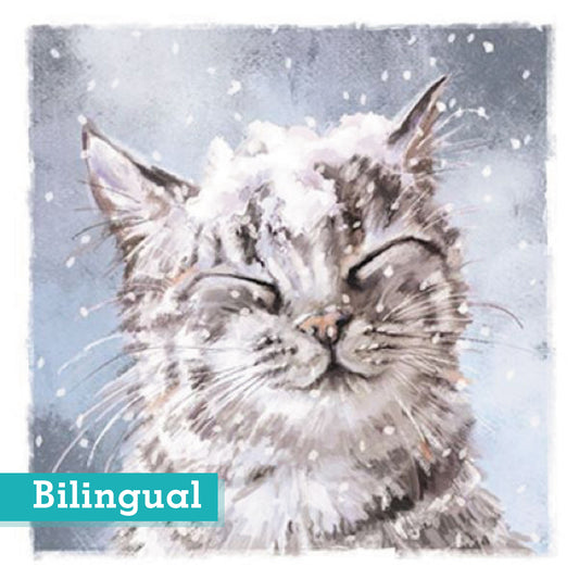 Snowfall Cat Christmas Cards Bilingual Greeting Pack of 10