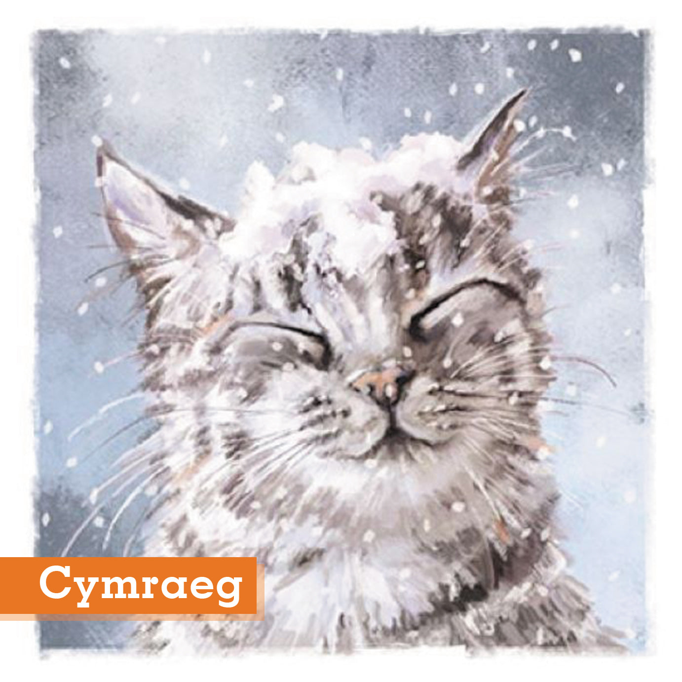 Snowfall Cat Christmas Cards Welsh Cymraeg Greeting Pack of 10