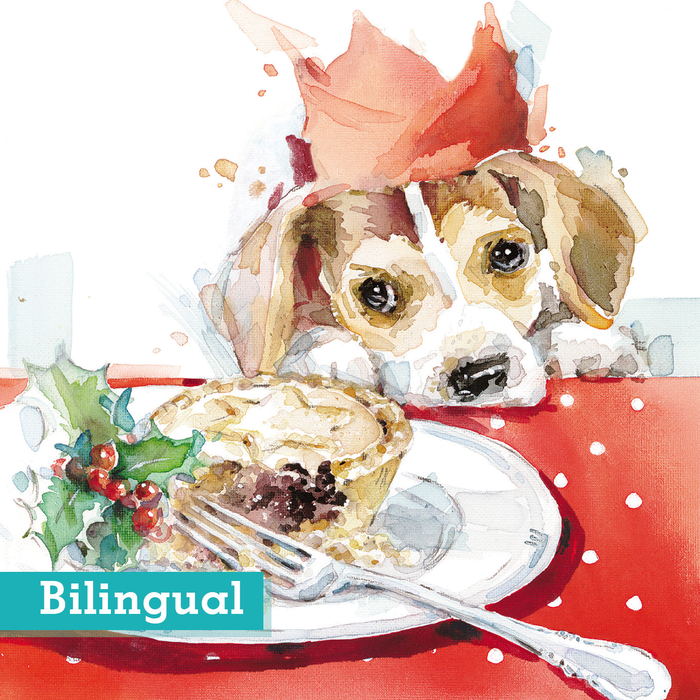 Mince Pie Eyes Christmas Cards Bilingual Greeting  Pack of 10