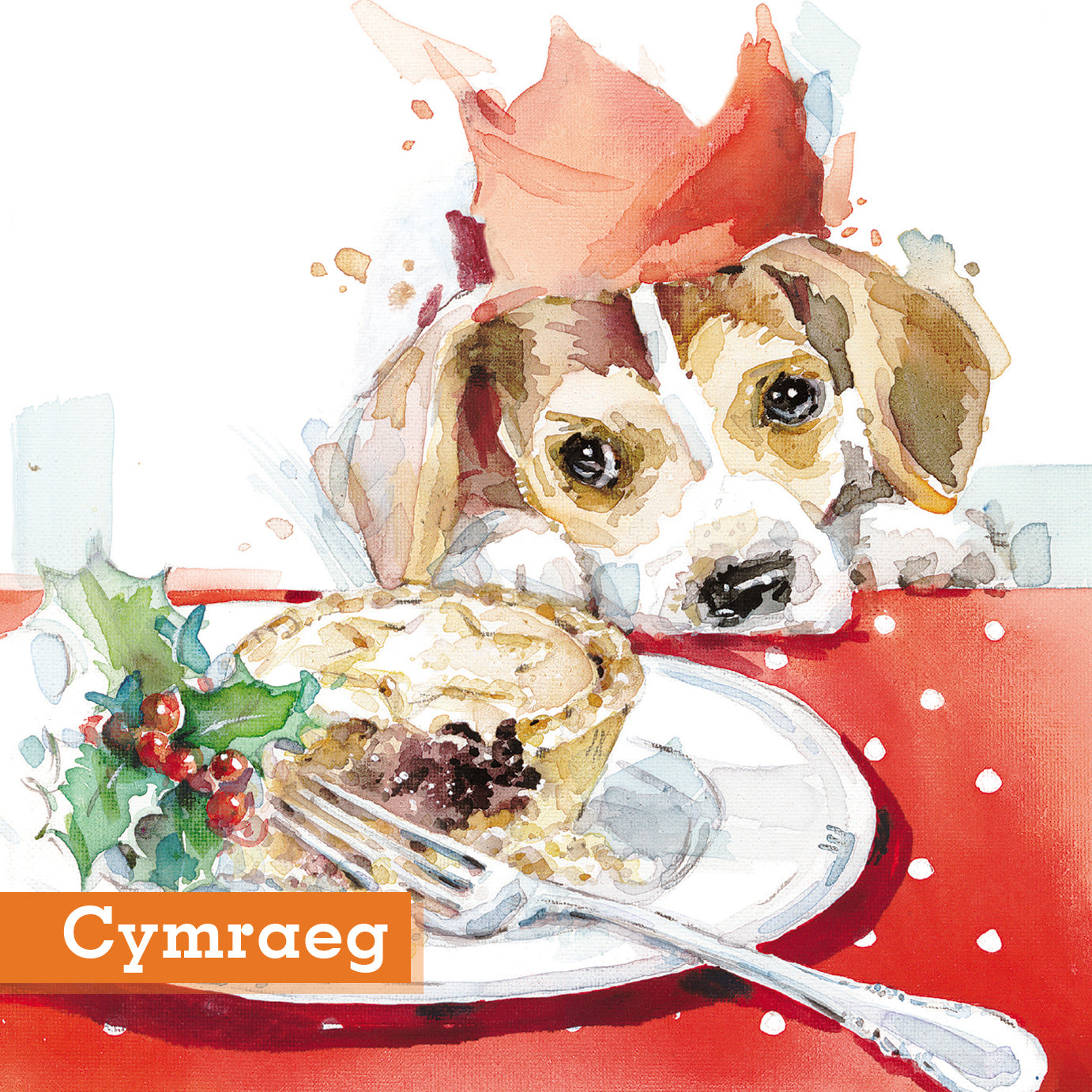 Mince Pie Eyes Christmas Cards Welsh Greeting Pack of 10