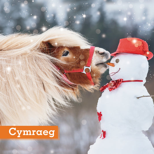 My Carrot ! Christmas Cards Welsh Greeting Pack of 10