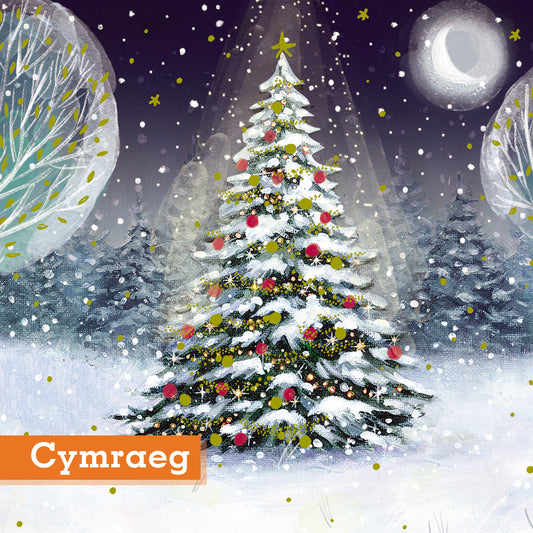 Woodland Magic Christmas Cards Welsh Greeting Pack of 10