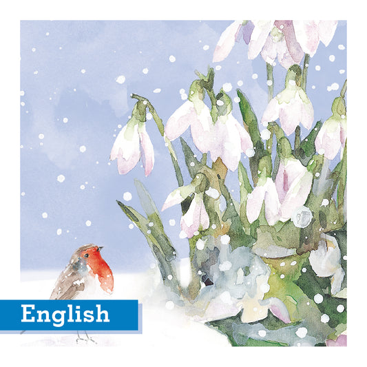 Robin and Snowdrops Christmas Cards English Greeting  Pack of 10