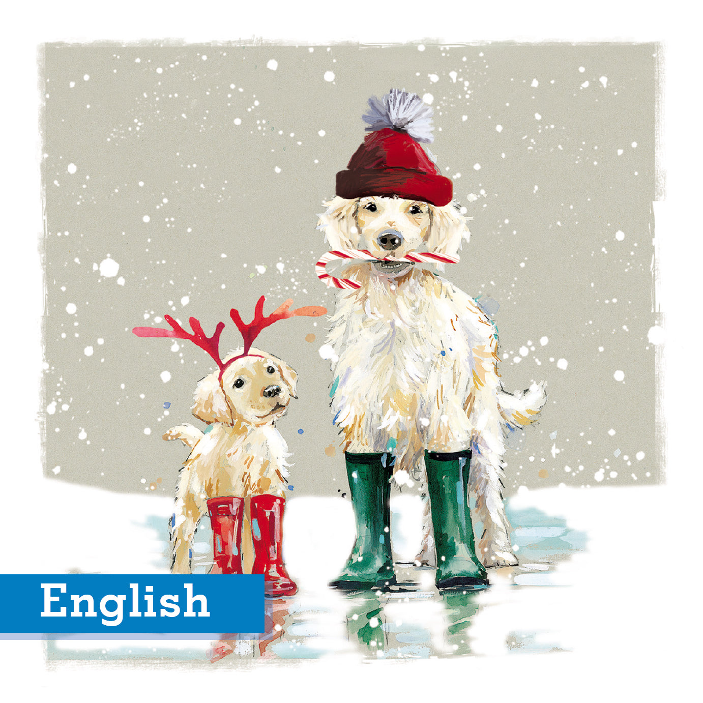 Winter Ready Christmas Cards English Greeting Pack of 10