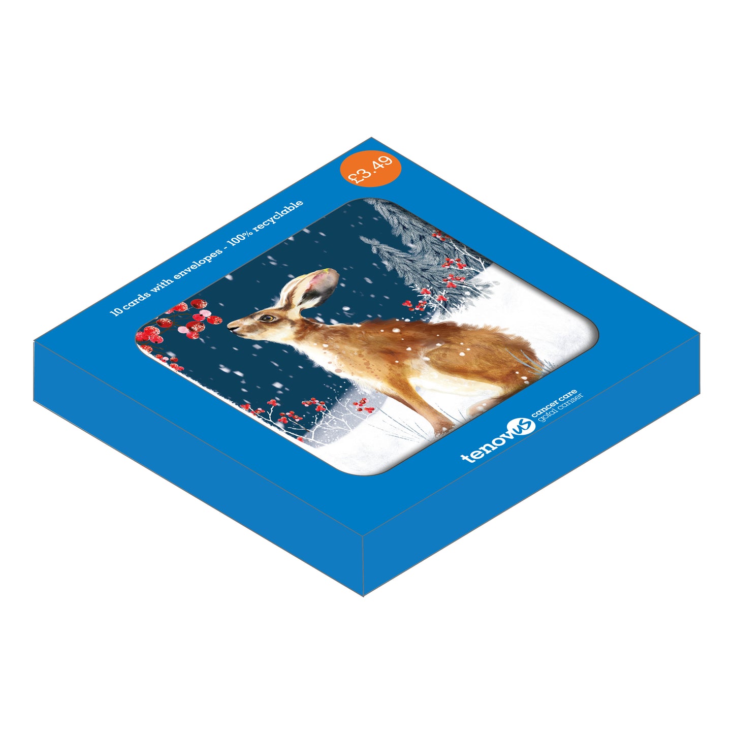 Shimmer Berry Hare Christmas Cards Pack of 10 Cymraeg Welsh greeting