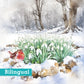 Snowdrops in the wood Christmas cards Pack of 10 Bilingual greeting