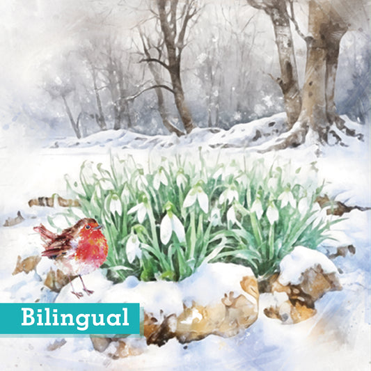 Snowdrops in the wood Christmas cards Pack of 10 Bilingual greeting