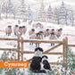 Winter Watch and Learn Christmas cards Pack of 10 Cymraeg Welsh Greeting