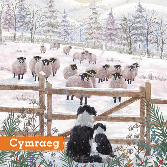 Winter Watch and Learn Christmas cards Pack of 10 Cymraeg Welsh Greeting