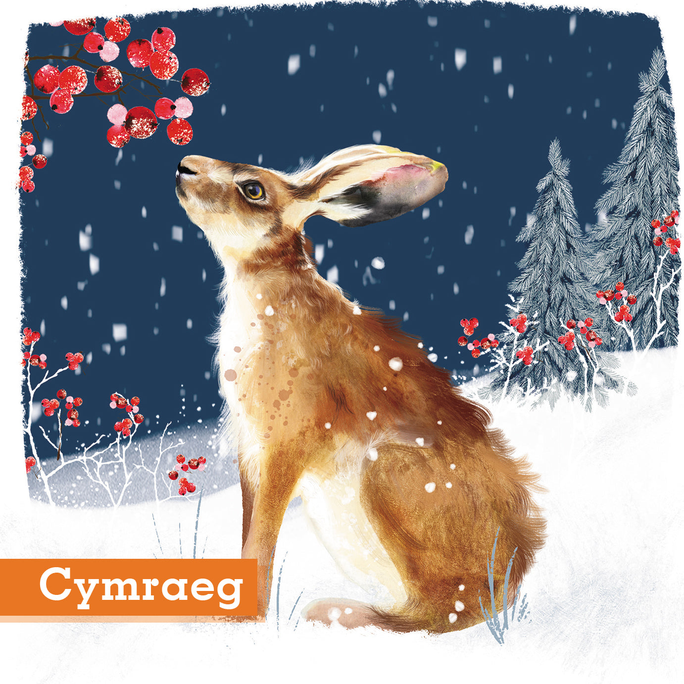 Shimmer Berry Hare Christmas Cards Pack of 10 Cymraeg Welsh greeting