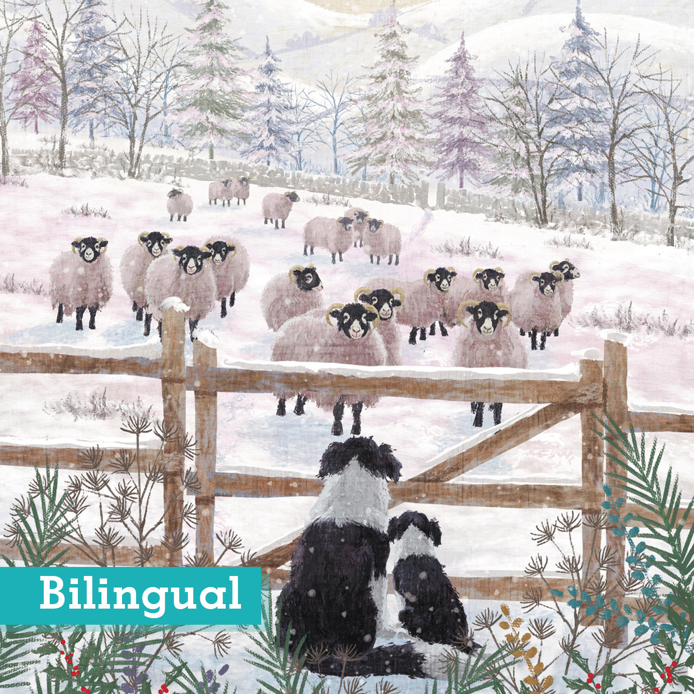 Winter Watch and Learn Christmas cards Pack of 10 bilingual Greeting