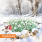 Snowdrops in the wood Christmas cards Pack of 10 Cymraeg Welsh Greeting