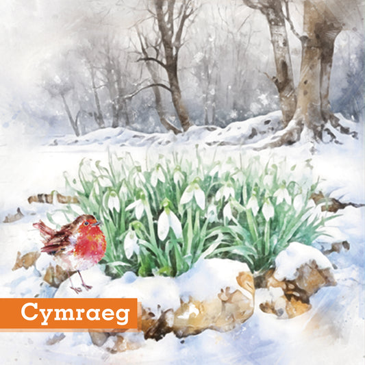 Snowdrops in the wood Christmas cards Pack of 10 Cymraeg Welsh Greeting