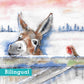 Donkey and Robin Friends Christmas Cards Pack of 10 Bilingual Greeting