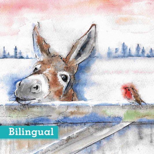 Donkey and Robin Friends Christmas Cards Pack of 10 Bilingual Greeting