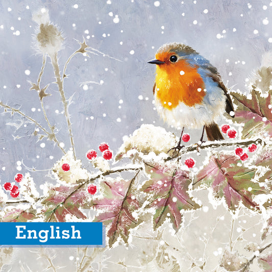 Frosted Robin Christmas Cards Pack of 10 English Greeting